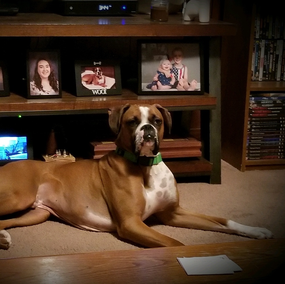 Meet your Posher, Corey